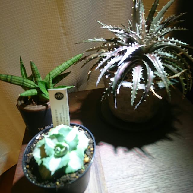 Hiroyukiさんの実例写真