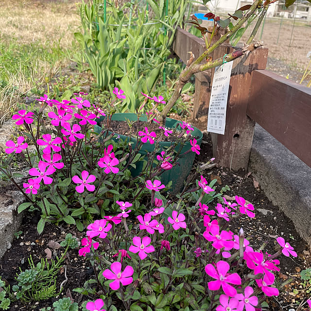 natsumiさんの部屋