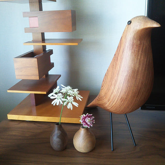 momoさんの実例写真