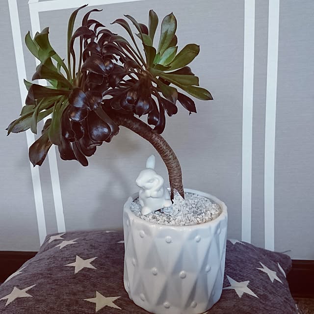 mhkさんの実例写真
