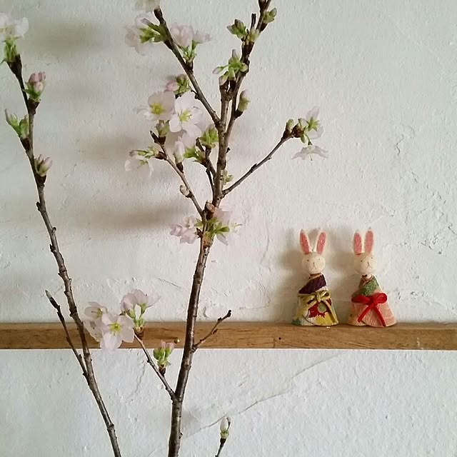 mikiさんの実例写真