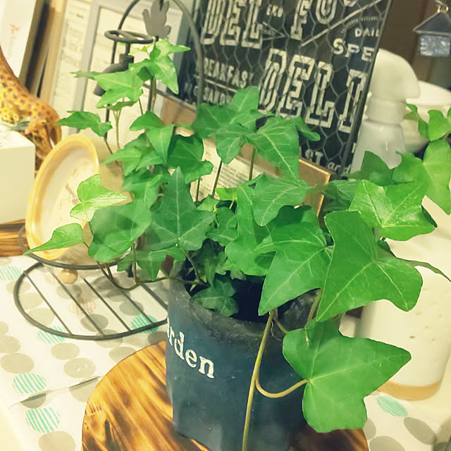 KOHAKUさんの実例写真