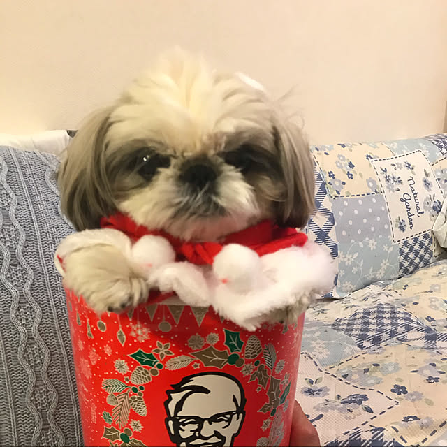 mimiさんの実例写真