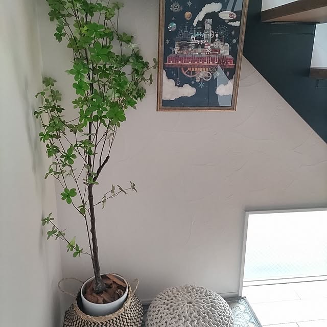 Maroさんの実例写真