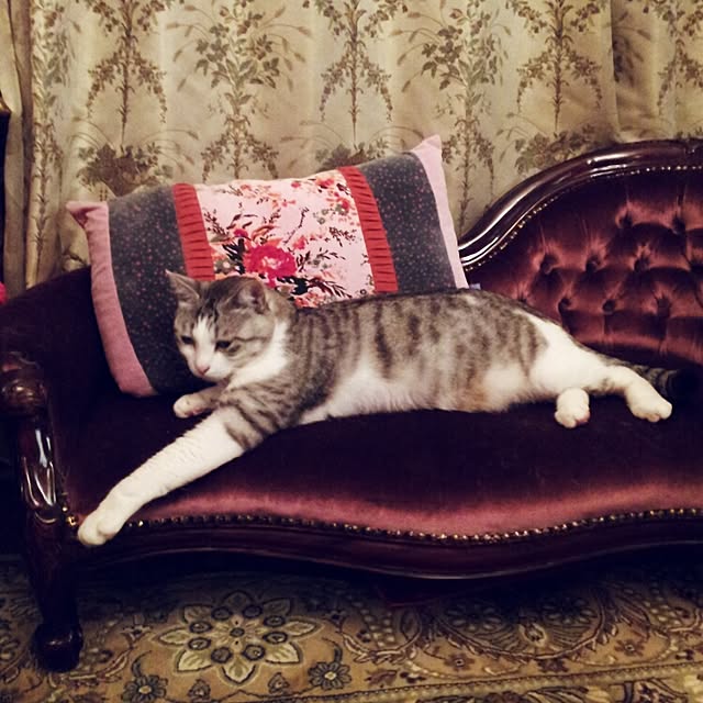 emmyyさんの実例写真