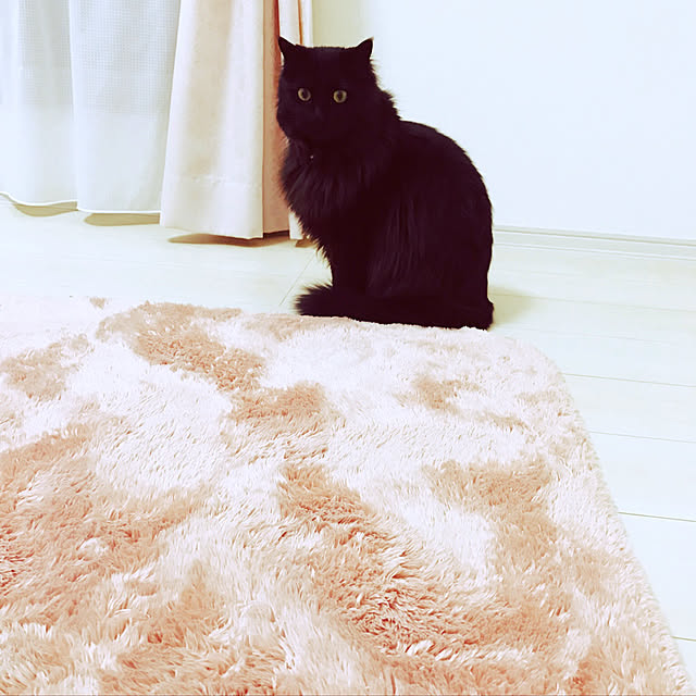 minamiさんの実例写真