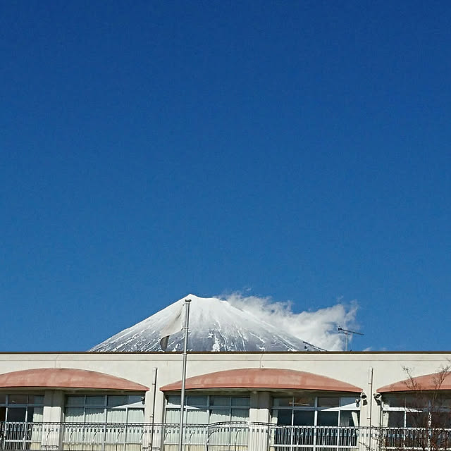玄関/入り口/富士山のインテリア実例 - 2019-02-04 14:18:33