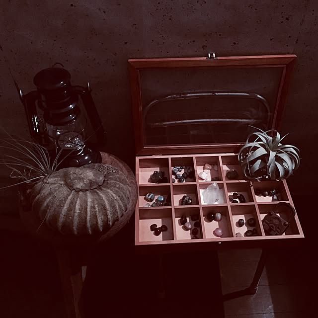 saokoさんの実例写真