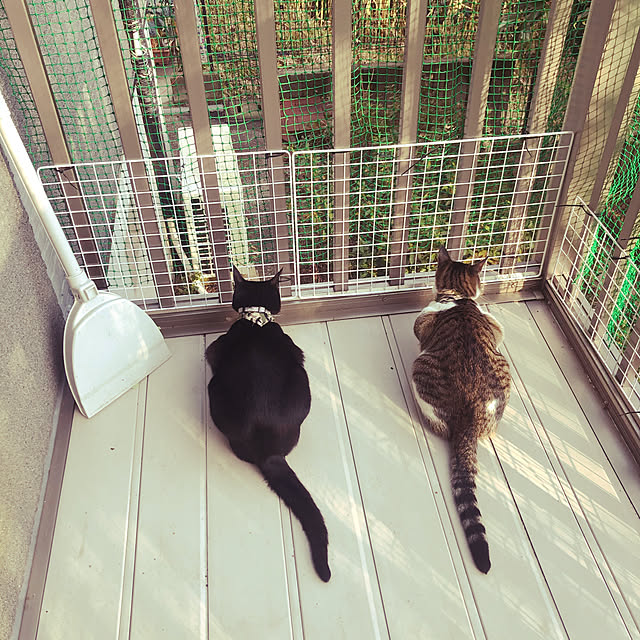 jijiさんの実例写真