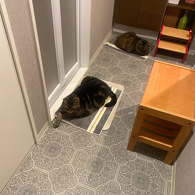 mikomaruさんの実例写真
