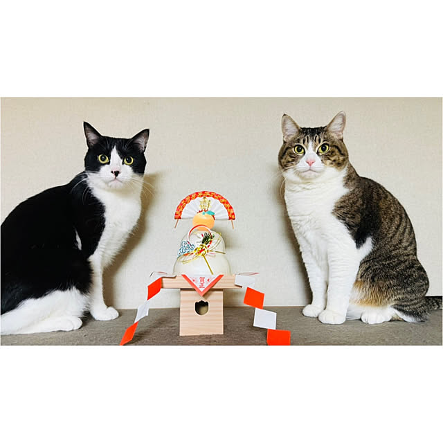 nanohanaさんの実例写真