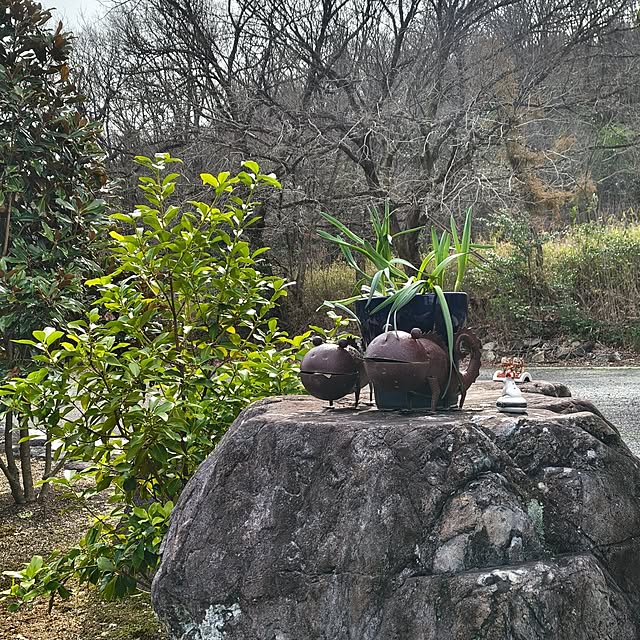 Rubiconさんの部屋