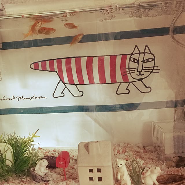 kitiさんの実例写真