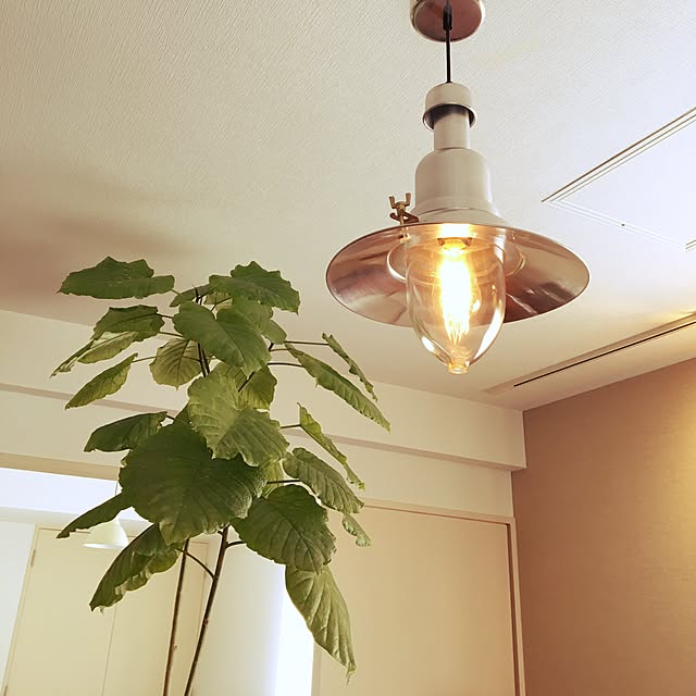 Mさんの実例写真