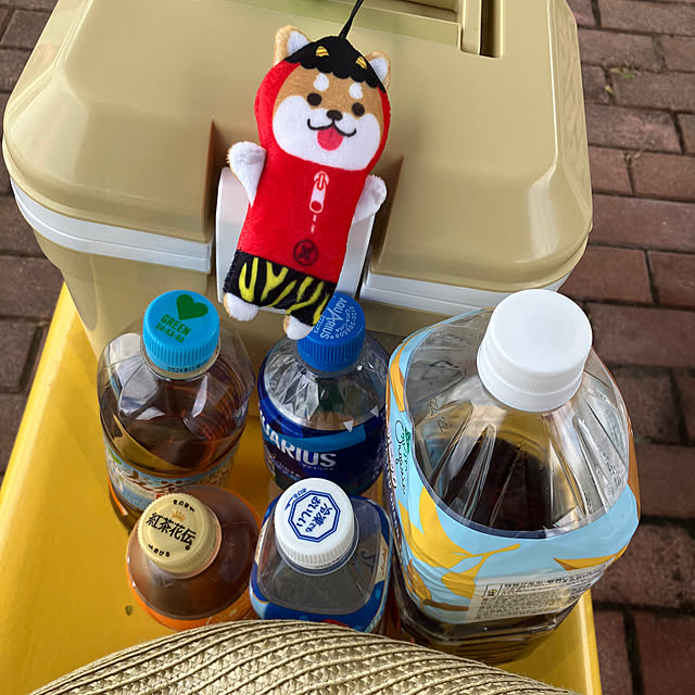 koshiregutyoさんの部屋