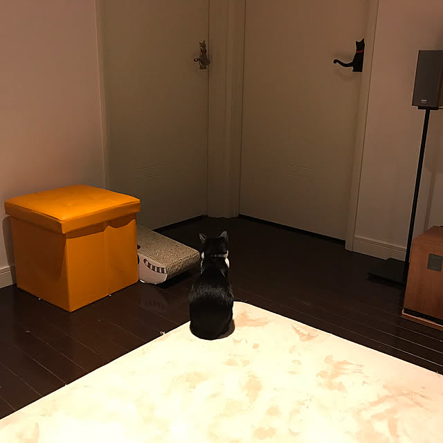 akuakuさんの実例写真