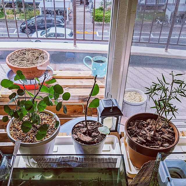 mi-saさんの部屋