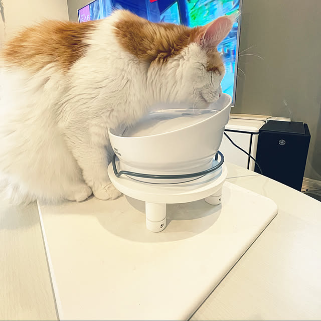 ukoさんの実例写真