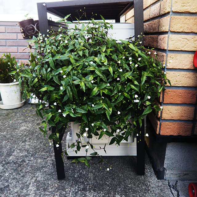 kiraさんの実例写真