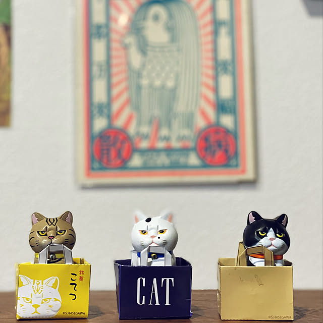 moainanoさんの実例写真