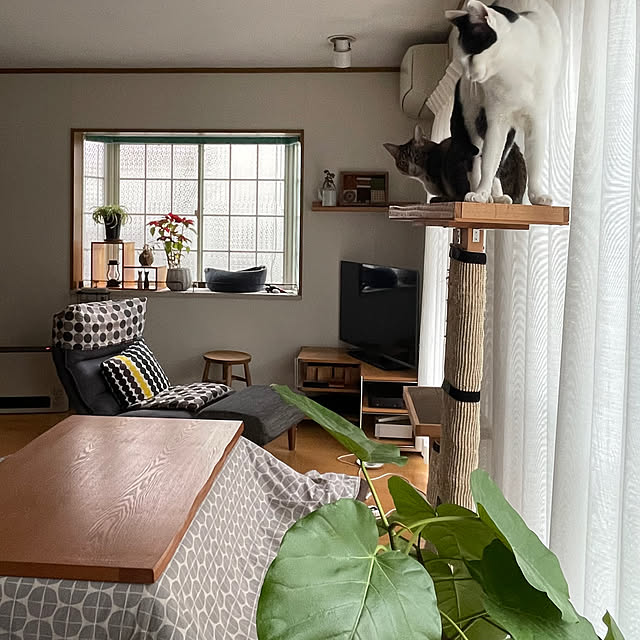 nobikoさんの部屋