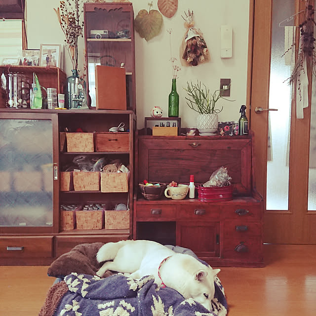 bossさんの実例写真
