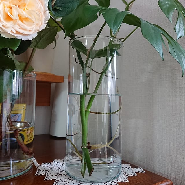 hopkeiさんの実例写真