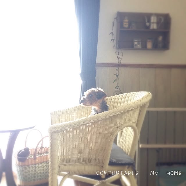 kuroさんの実例写真