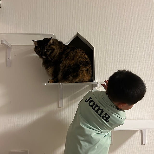 mikomaruさんの部屋
