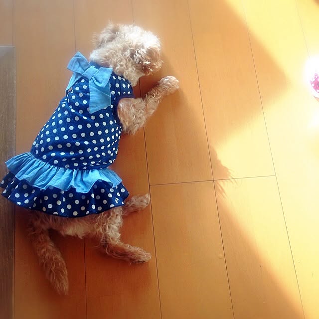 yさんの実例写真