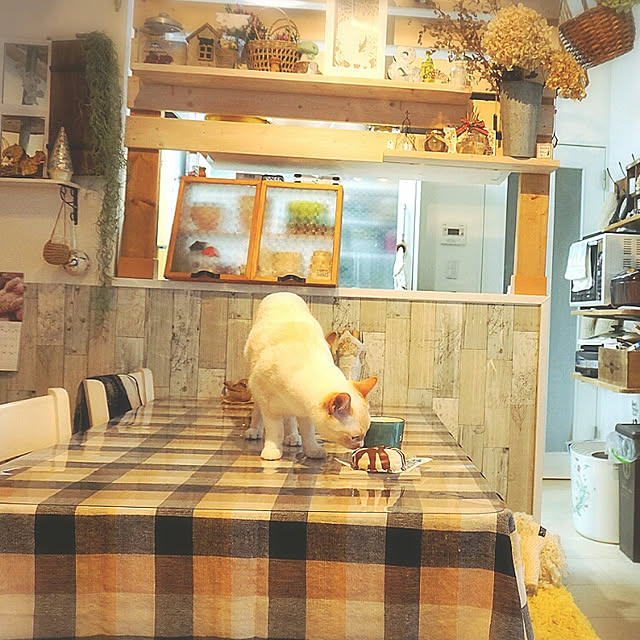 Gomaさんの実例写真