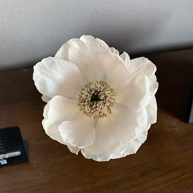 rasutarouさんの実例写真