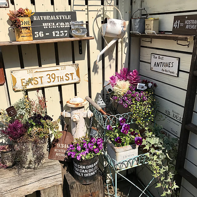 nokoさんの実例写真