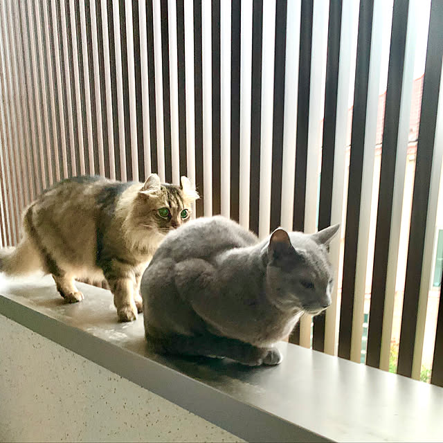 kanaさんの実例写真