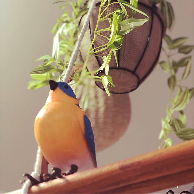 kotaroさんの実例写真