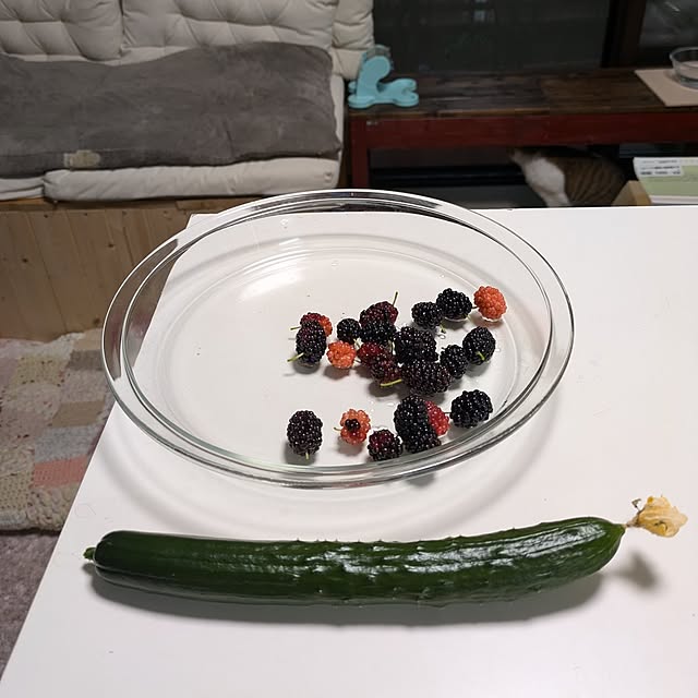 mori_6_12さんの実例写真