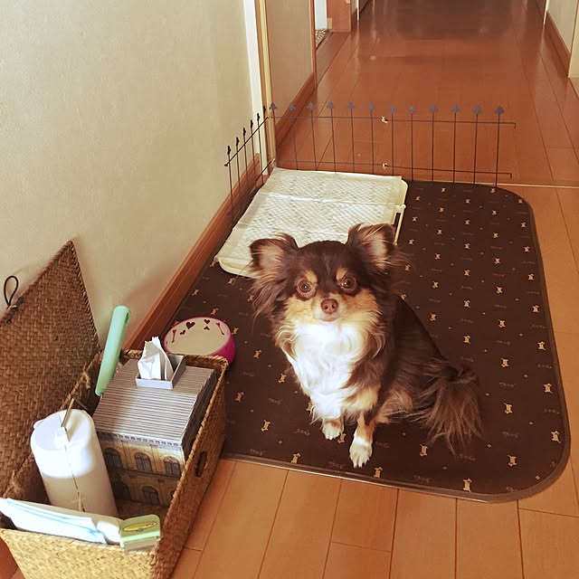 arinkoさんの実例写真