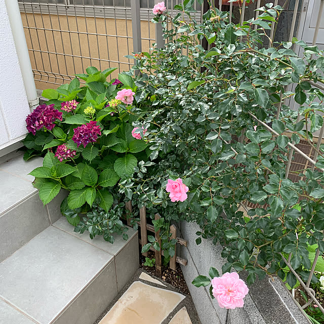 kekokekoさんの実例写真