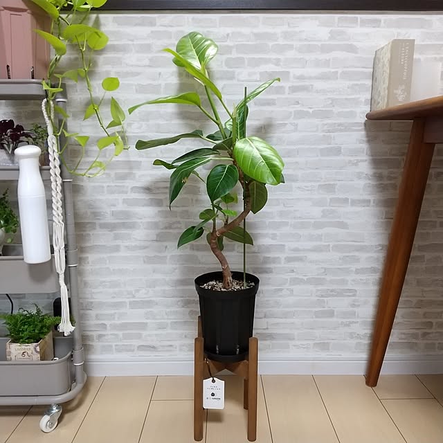 meiさんの部屋