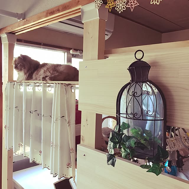 roseさんの実例写真