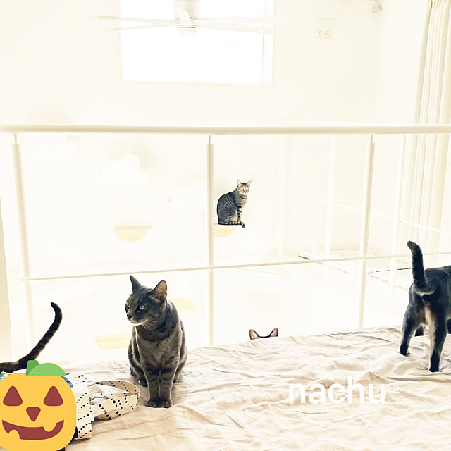 nachuさんの実例写真