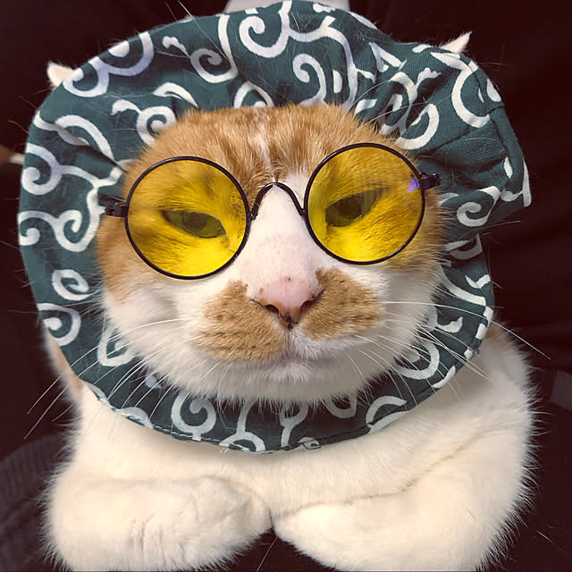 mikenekoさんの実例写真