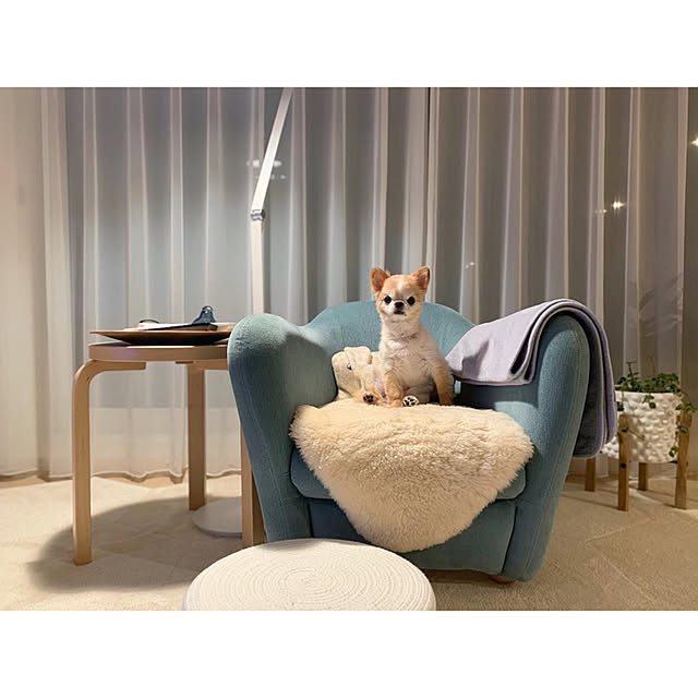 haruhinaさんの実例写真