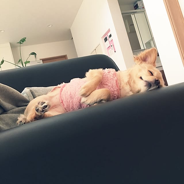b__r__cさんの実例写真