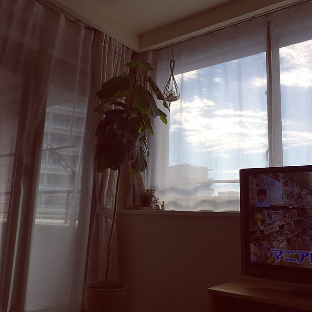 coaccoさんの実例写真