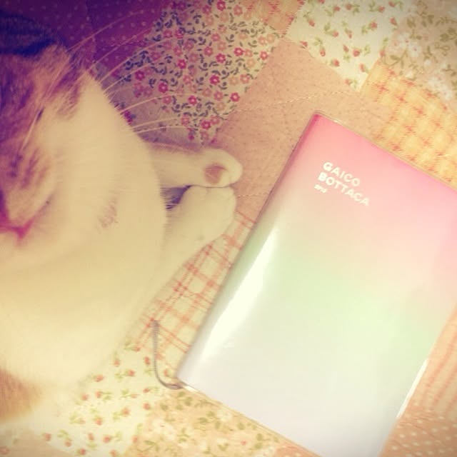 meriiさんの実例写真