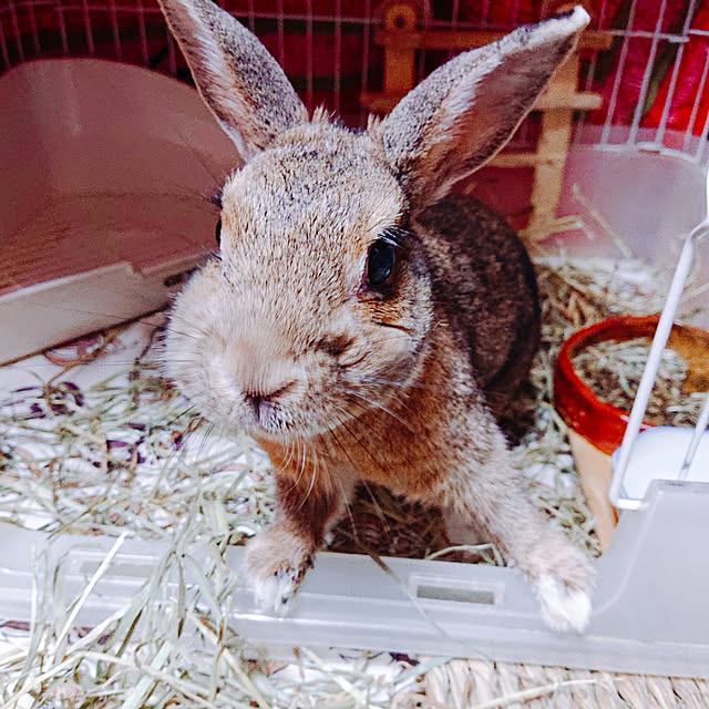 kikiさんの実例写真
