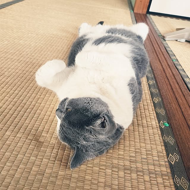 rhuさんの実例写真