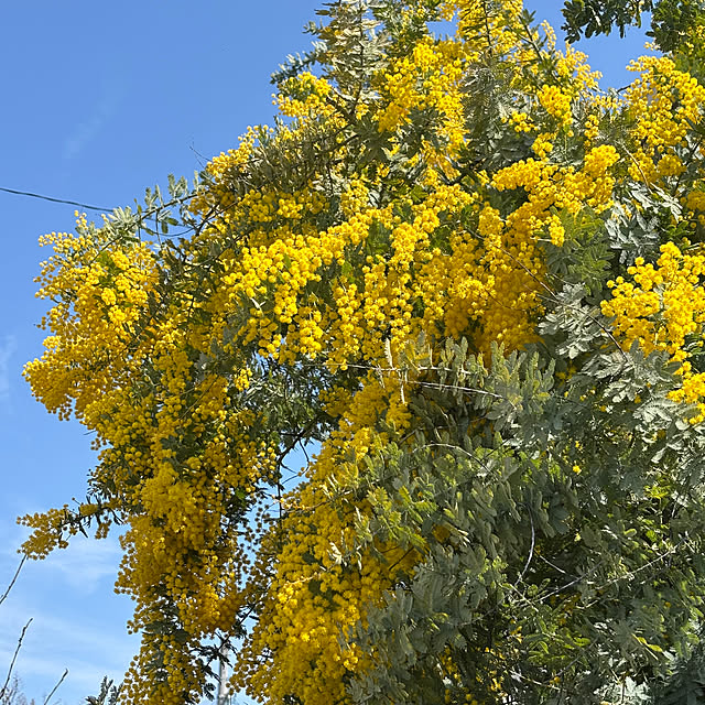 madeleineさんの部屋