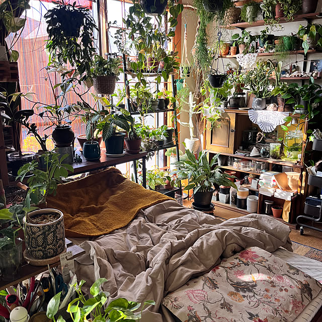 Rhipさんの実例写真